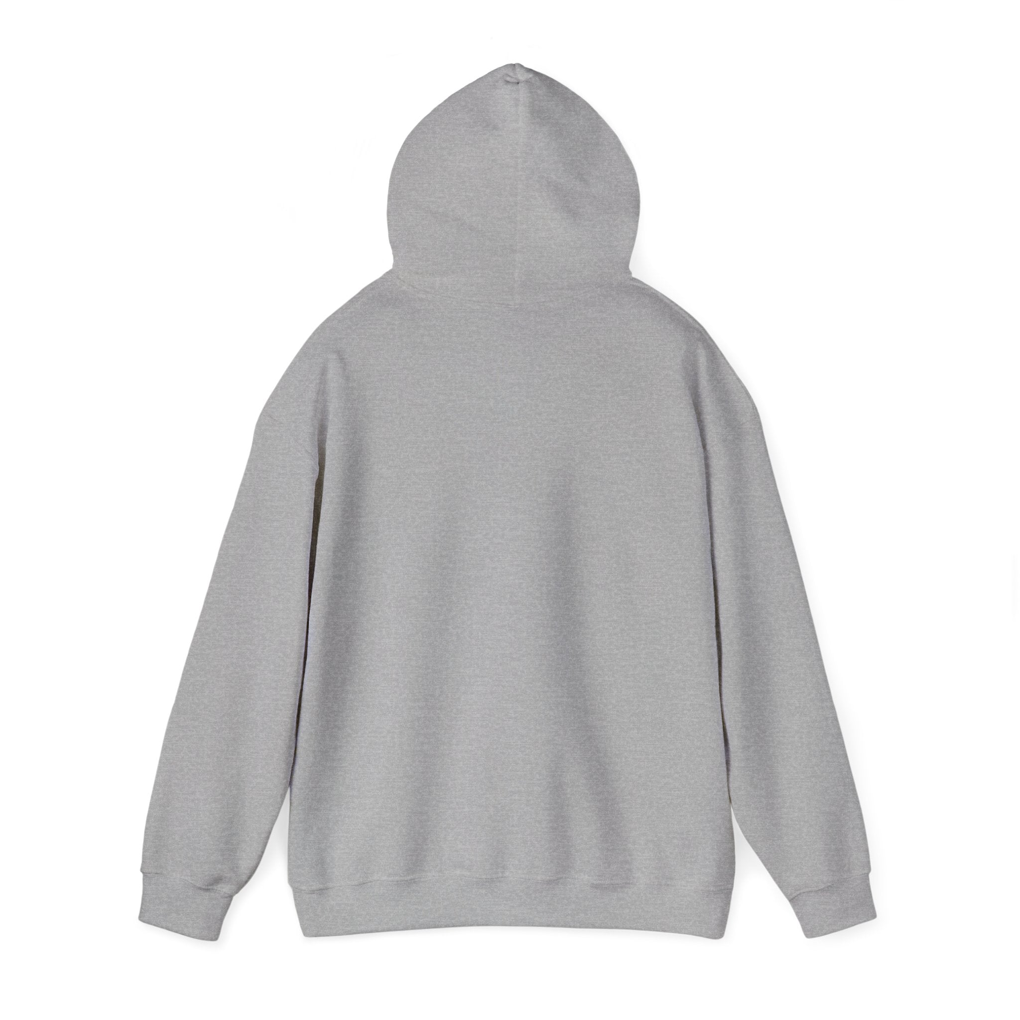 Neuro Spicy hoodie | Neurodiversity, autistic pride, affirming